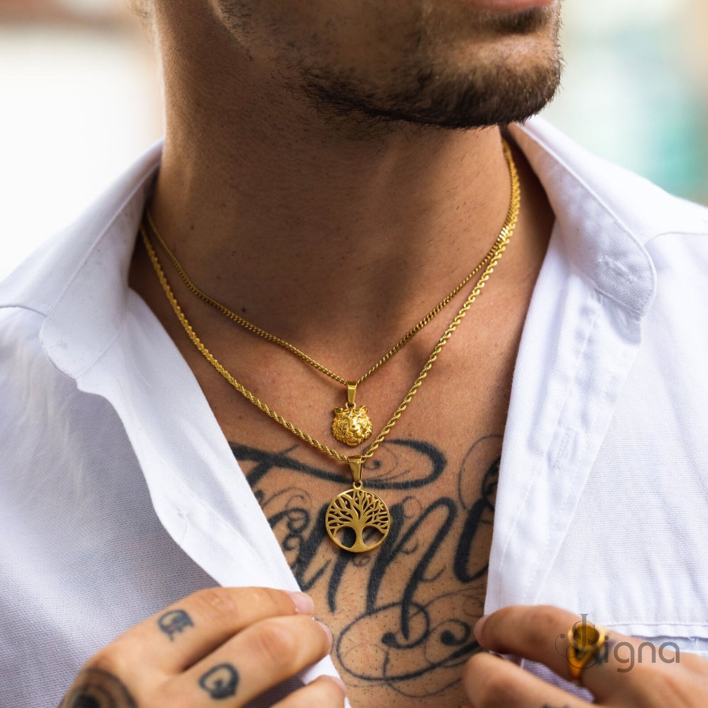 signa™ silver tree of life medallion pendant for men on a sturdy chain.